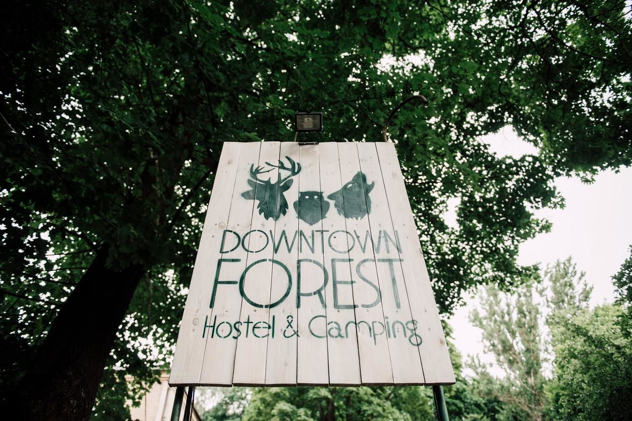 Хостелы Downtown Forest Hostel & Camping Вильнюс-29